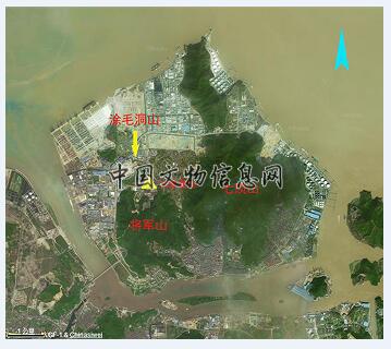 宁波首次发掘海岛史前文化遗址——大榭遗址Ⅰ期考古发掘的主要收获