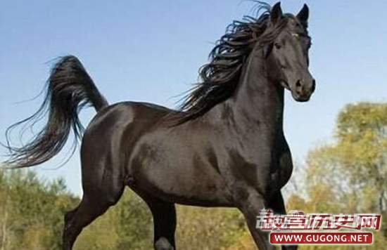 汗血马曾是匈奴骑兵坐骑 汉武帝为其攻打大宛