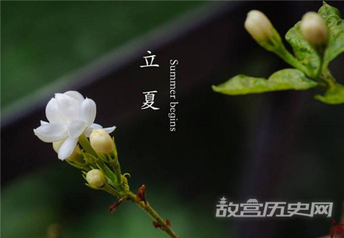 立夏时节怎么养生