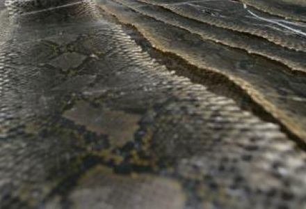 古代人的降温神器