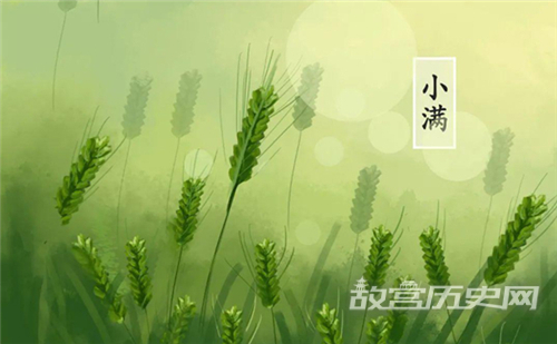 小满是什么意思