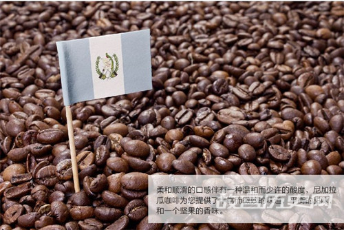 尼加拉瓜咖啡豆历史