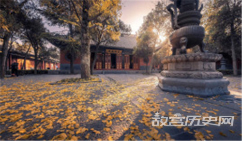洛阳隋唐大运河博物简介