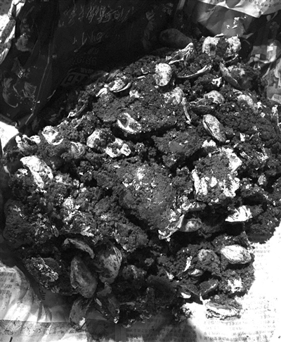 “发现杭州2016”——杭州考古工作年度盘点揭晓