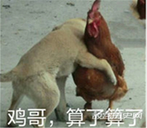 xxj是什么意思