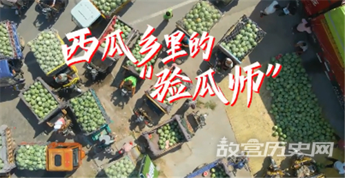 验瓜师验瓜技巧