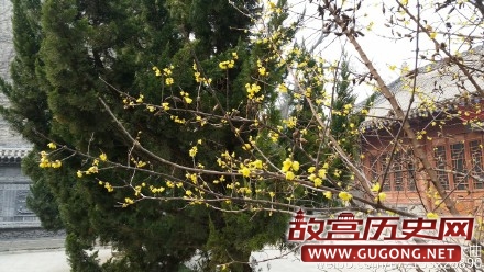 为天地立心,为生民立命,为往圣继绝学,为万世开太平