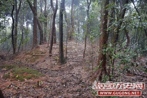 湖南伍市至益阳高速公路文物调查勘探简介