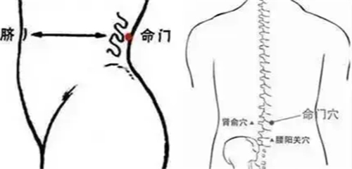 命门穴位介绍