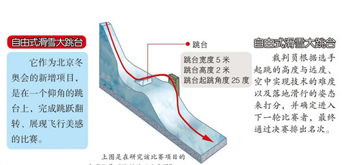 自由式滑雪大跳台是什么时候进入冬奥会的