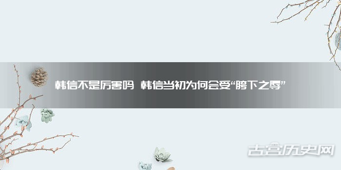 韩信不是厉害吗 韩信当初为何会受“胯下之辱”