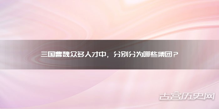 三国曹魏众多人才中,分别分为哪些集团?