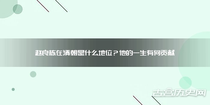 赵良栋在清朝是什么地位?他的一生有何贡献
