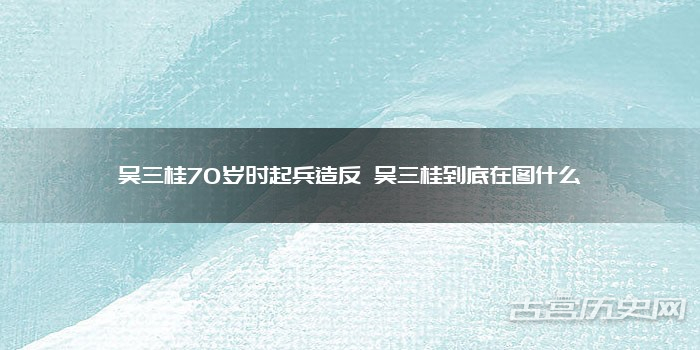 吴三桂70岁时起兵造反 吴三桂到底在图什么