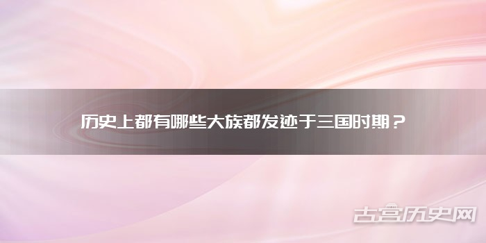 历史上都有哪些大族都发迹于三国时期?
