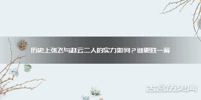历史上张飞与赵云二人的实力如何？谁更胜一筹