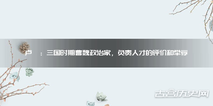 卢毓:三国时期曹魏政治家,负责人才的评价和举荐
