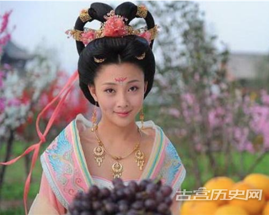1572835262564622.png 唐玄宗抢李瑁的妻子,李瑁反抗过吗?