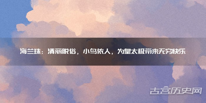 海兰珠:清丽脱俗,小鸟依人,为皇太极带来无穷快乐