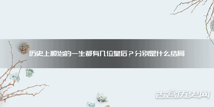 历史上顺治的一生都有几位皇后?分别是什么结局