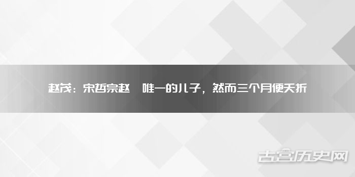 赵茂:宋哲宗赵煦唯一的儿子,然而三个月便夭折