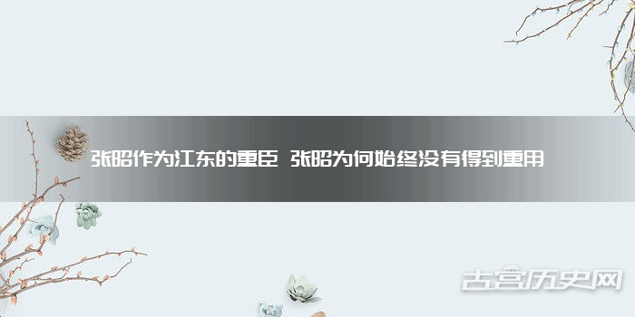 张昭作为江东的重臣 张昭为何始终没有得到重用