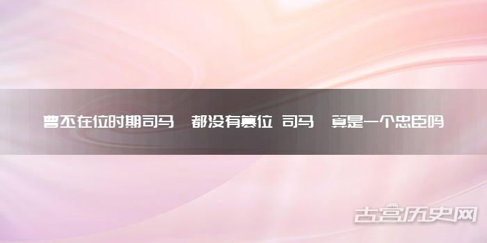 曹丕在位时期司马懿都没有篡位 司马懿算是一个忠臣吗