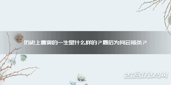 历史上曹爽的一生是什么样的?最后为何会被杀?
