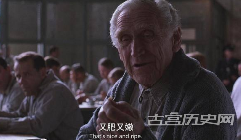 1567584825613817.png 乌鸦为什么不被人们待见?关于乌鸦的故事和传说!