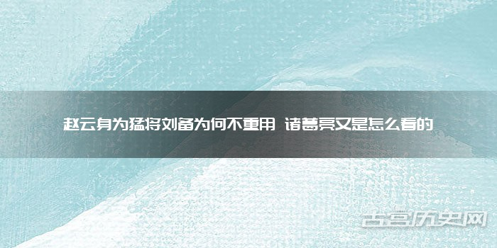 赵云身为猛将刘备为何不重用 诸葛亮又是怎么看的