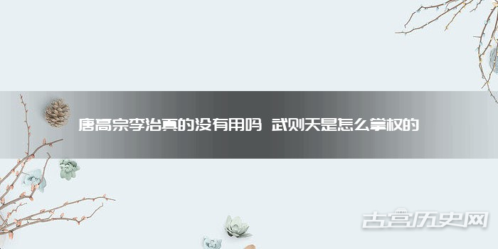 唐高宗李治真的没有用吗 武则天是怎么掌权的