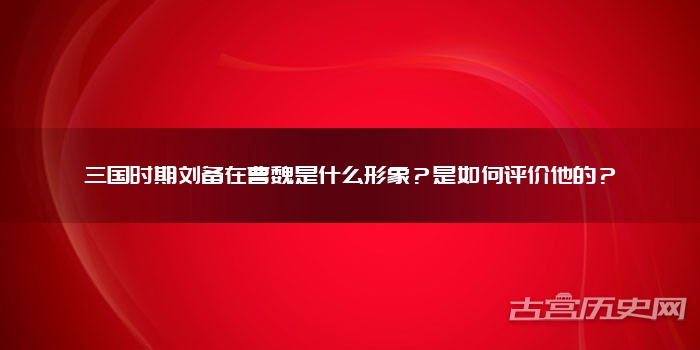 三国时期刘备在曹魏是什么形象?是如何评价他的?