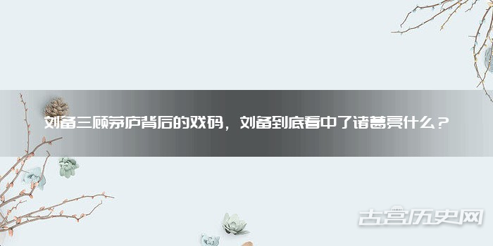 刘备三顾茅庐背后的戏码,刘备到底看中了诸葛亮什么?
